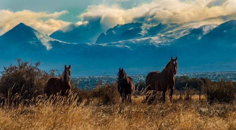 Parque Patagonia