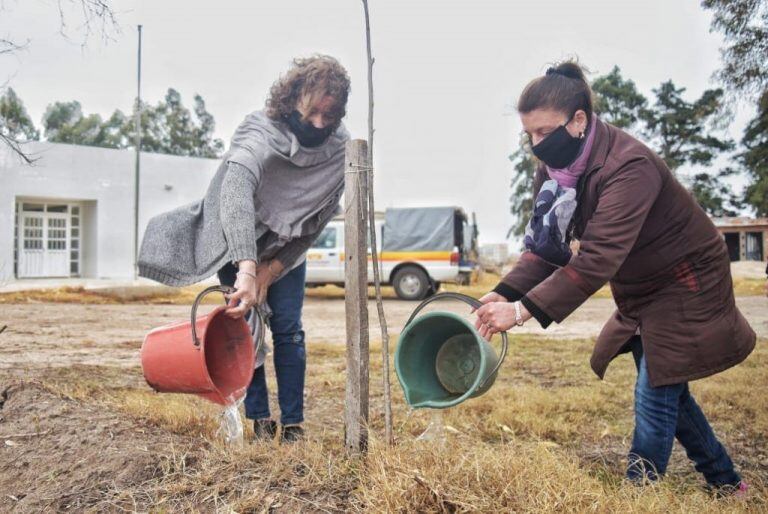 Plan de Forestación en Arroyito