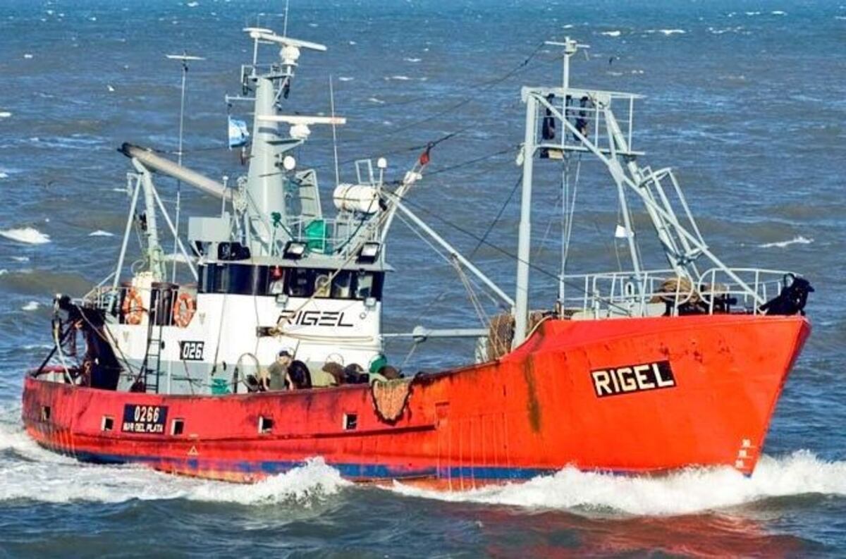 Rigel: se encontraron nuevos elementos pero no hay novedades