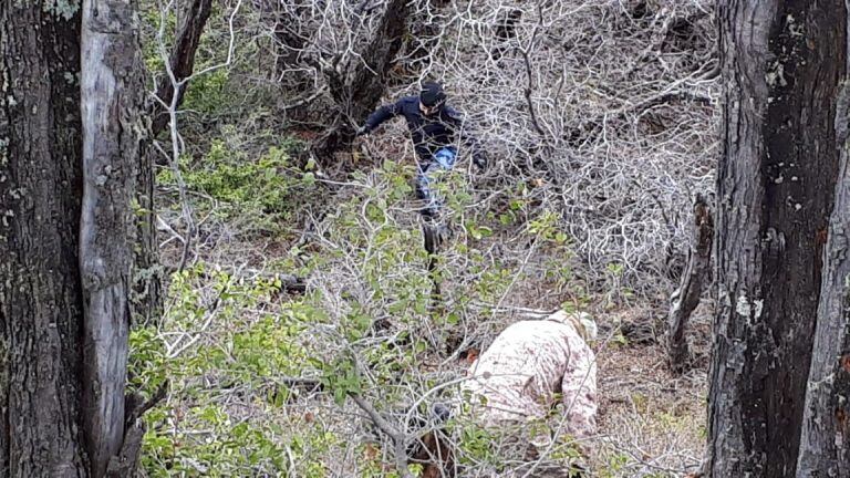 La mujer salió ayer y no regresó.