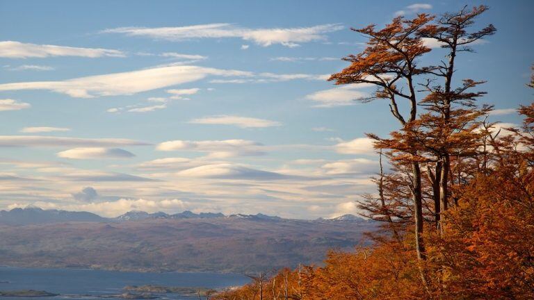 Otoño en Tierra del Fuego