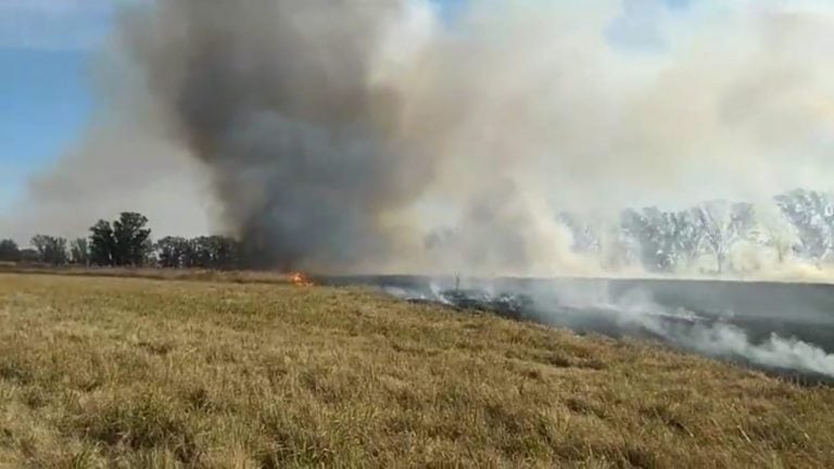 Incendio en un campo de la ciudad