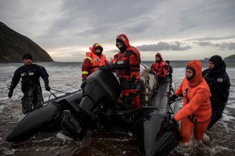 La aventura de los marinos que navegan los mares del sur para controlar el Faro del fin del Mundo Fuente: LA NACION - Crédito: Santiago Filipuzzi / Enviado Especial.