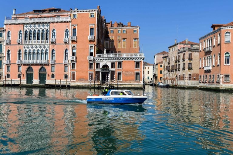 El agua de los canales de Venecia se volvió cristalina y se llenó de peces, patos y cisnes. (Foto: Andrea Pattaro/AFP)