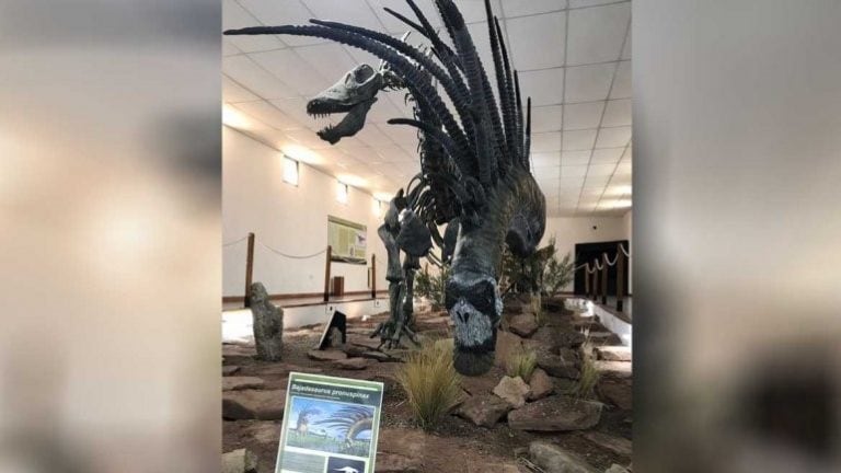 Descubrimientos dinosaurios  en Neuquén.