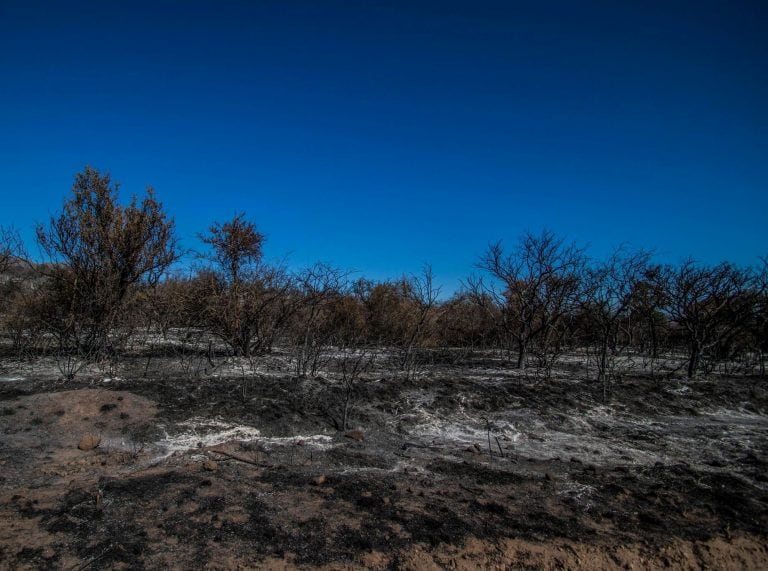 Otra imagen de cómo quedo el terreno tras el incendio