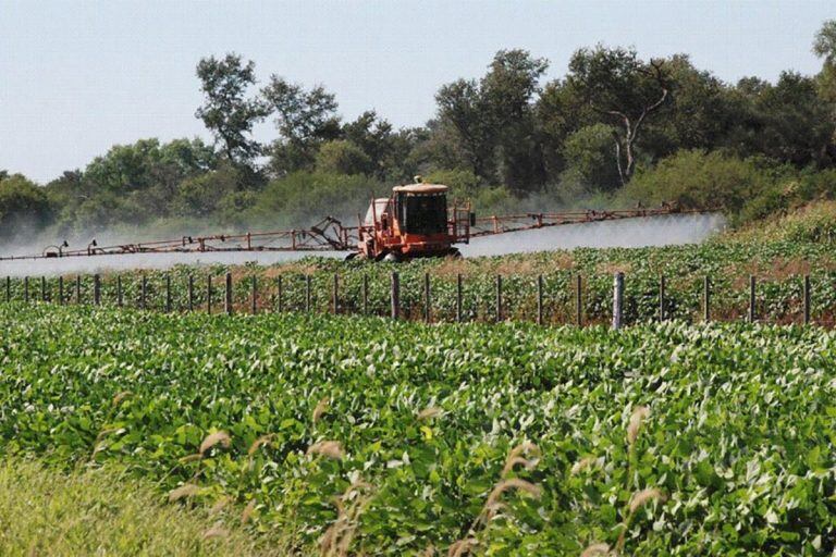 Fumigaciones Pergamino