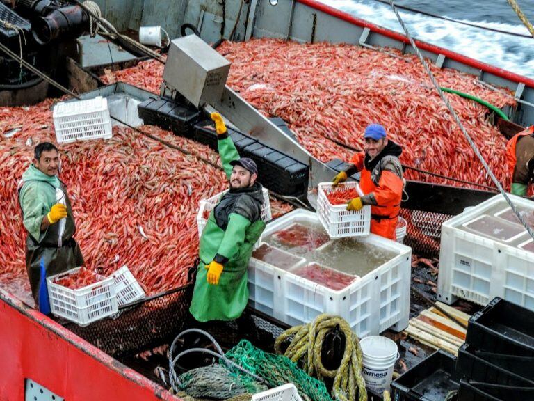 Se analiza la posibilidad de tener un mercado concentrador de productos de mar.