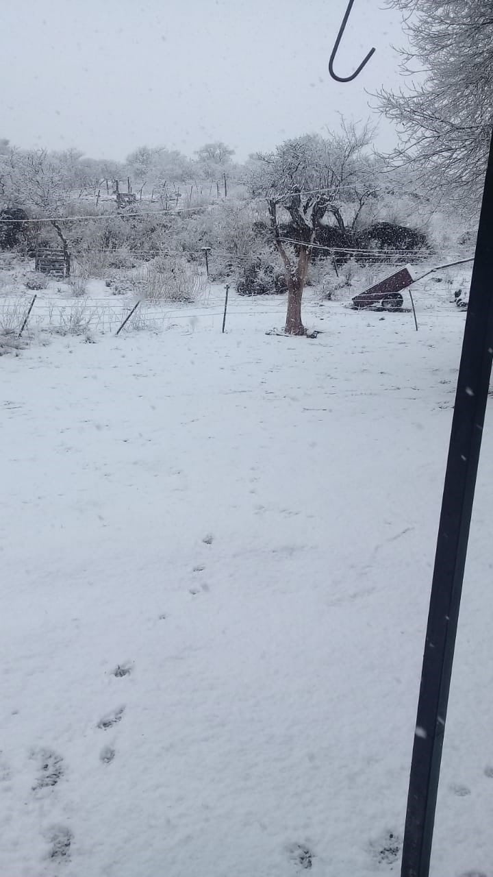 Las nevadas llegaron al sur provincia y agosto se despide con un paisaje vestido de blanco.