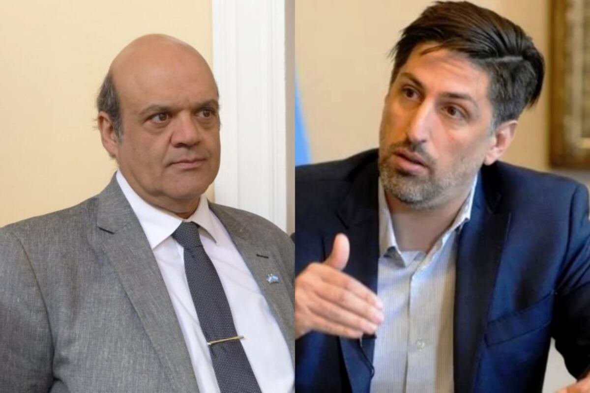Ley Universitaria: "Hay una idea de regionalizar los debates"
