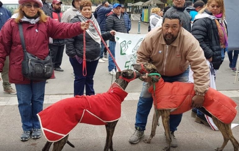 Galgueros se presentaron en la Legislatura y pidieron que se retrotraiga la Ley 27.300.