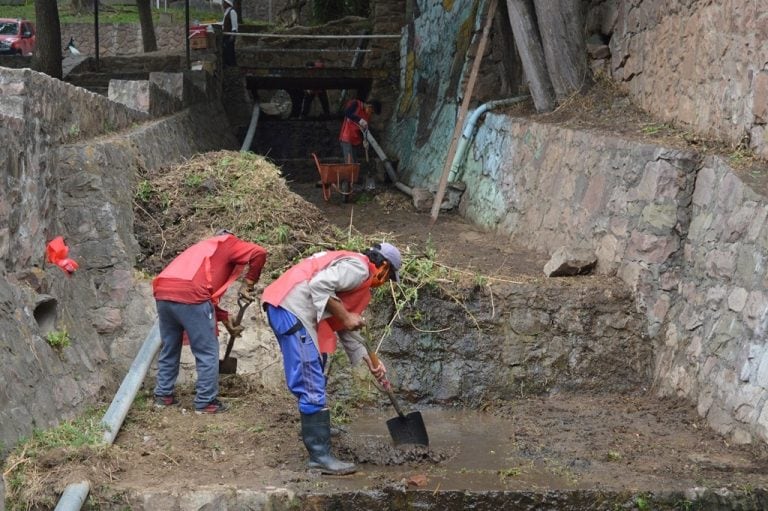 Plantaron 500 lapachos en el Cerro San Bernardo