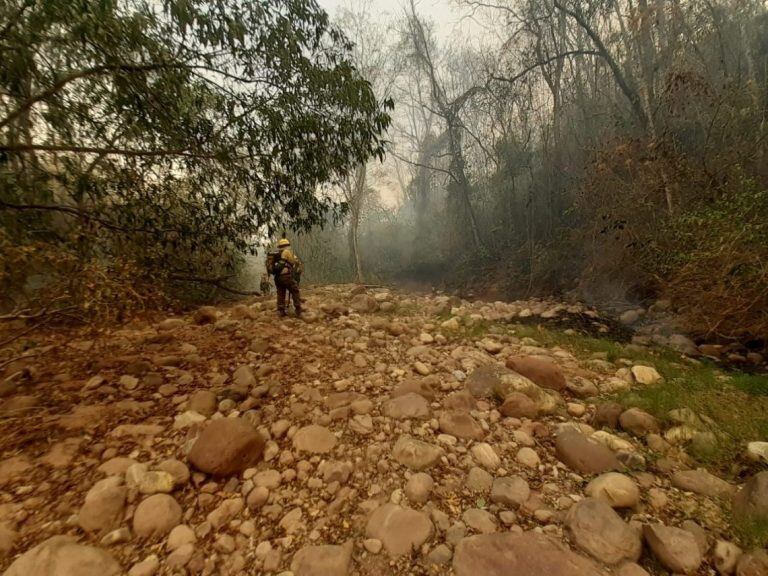 El fuego en las Yungas consumió aproximadamente 14.355 hectáreas, de las cuales 10.000 corresponden a jurisdicción provincial y fincas particulares, en tanto más de 4.000 hectáreas se encuadran en el Parque Nacional Calilegua.