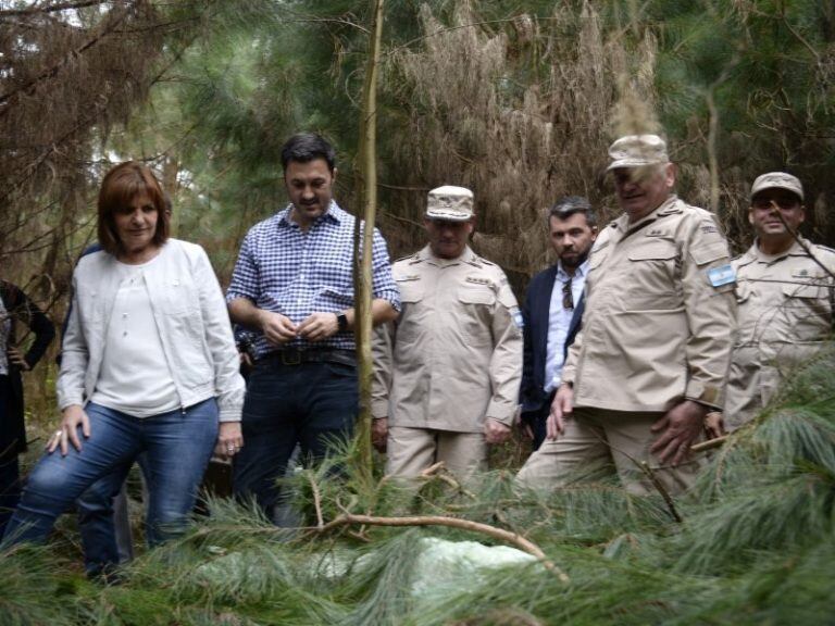 Misiones La ministra Bullrich recorre el pinar donde personal de Prefectura encontró casi cinco toneladas de droga. Vino de Paraguay y estaba siendo "enfriada" para pasar al siguiente eslabón de la cadena narco. (MisionesOnline)