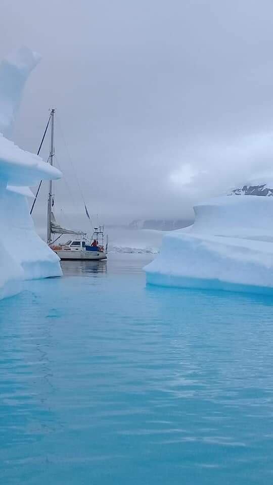 Velero Galileo navegando entre témpanos
(Foto: Fundación Malvinas Argentinas)