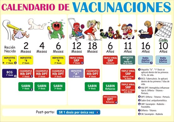 Ver el Calendario de vacunación y consultar al pediatra