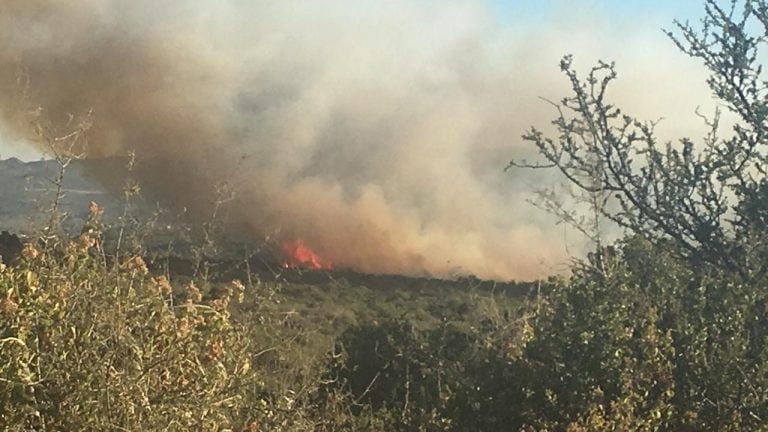 Dos focos de incendio