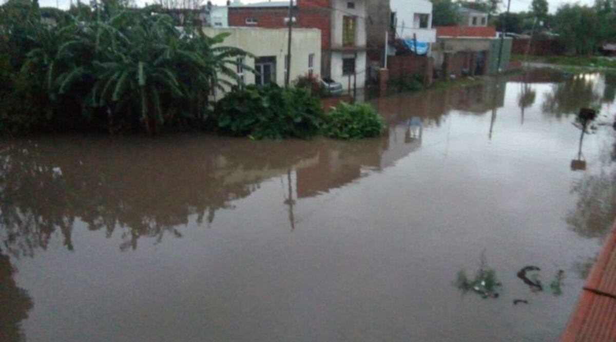 La Municipalidad de La Plata aseguró que "cayó la lluvia de tres meses en 12 horas"