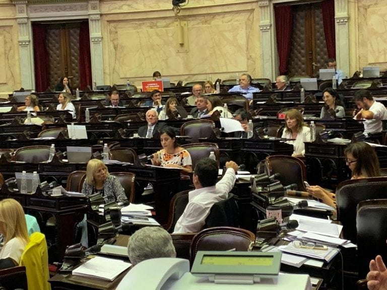 "Se cansaron de mentirnos. Es una inmoralidad negar las decisiones que tomaron, los negocios que realizaron en estos cuatro años", dijo la diputada Moisés.