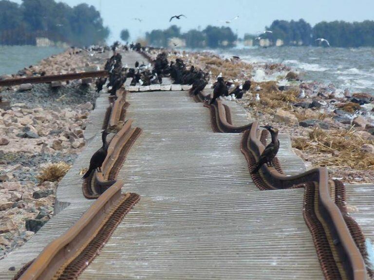 La vías en La Picasa destruidas por el agua.