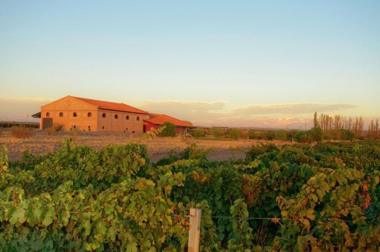 Bodega Altos las Hormigas