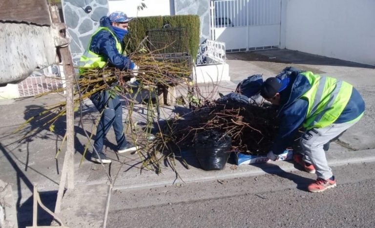 Luego continuarán con los Barrios 490 y el Área 16.