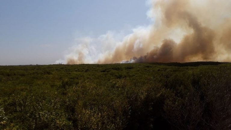 Incendio en el Vivero de Claromecó