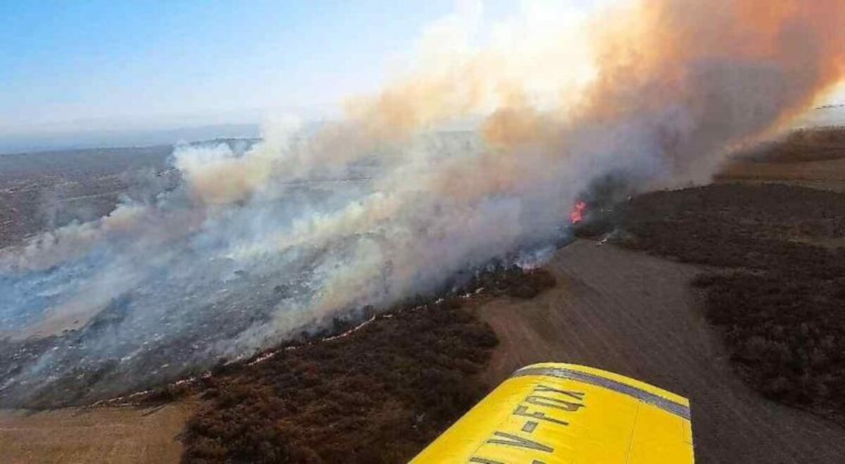 Casi 46 mil hectáreas quemadas en Córdoba en 2017