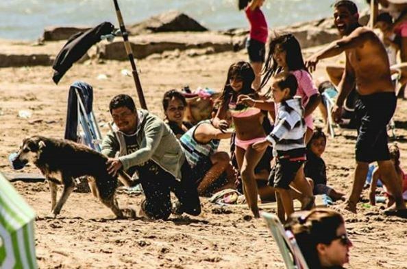 "Roba Ojotas", el perro más famoso de Santa Clara del Mar (web).