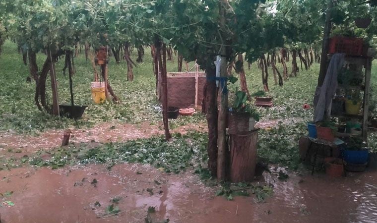 Fuerte granizada en Guandacol