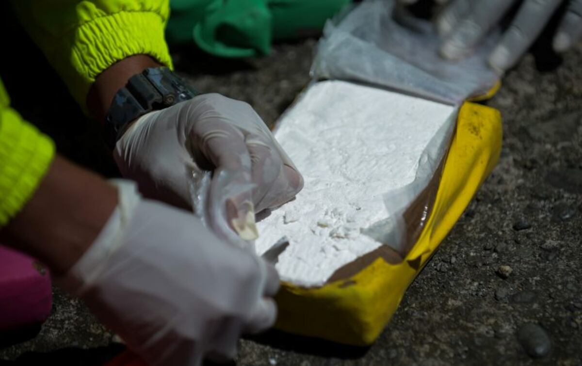Narcos perdieron 37 kilos de cocaína en los cerros jujeños