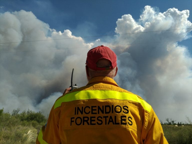 Incendios forestales en Mendoza.