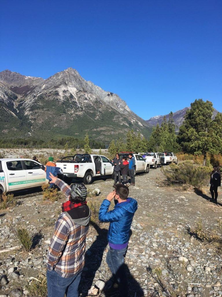 Recuperación de bosque nativo en Cholila.