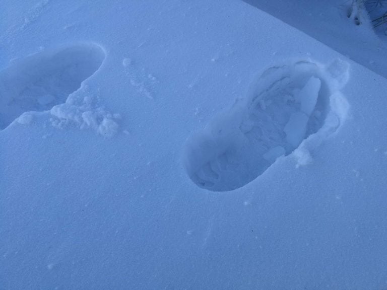 Las fotos de la nieve en las Altas Cumbres este martes 12 de junio.