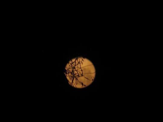 La Superluna de Nieve sobre Azul. (Foto: Joana Inda)