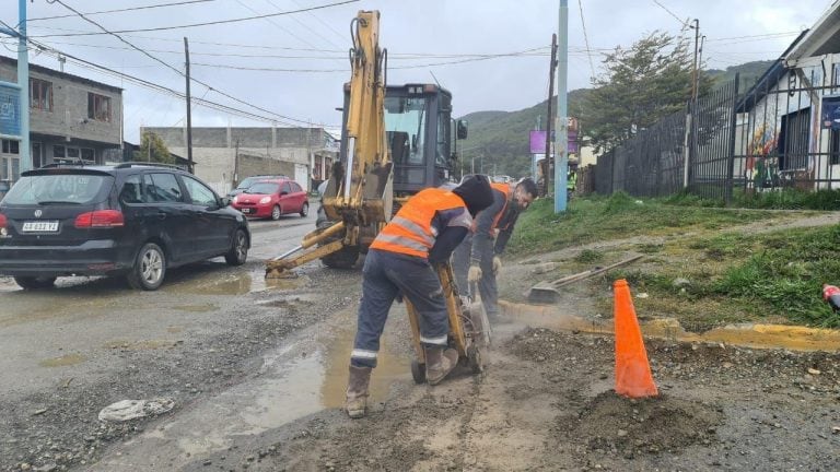 Trabajos viales Av. Alem