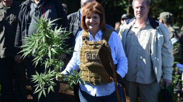 Bullrich posa con la planta que cortó a los machetazos