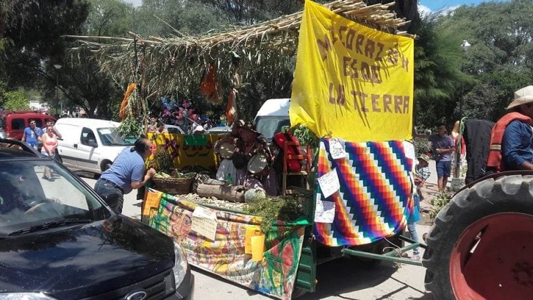 Desfile de carrozas en Amaicha del Valle (Romina Aguirre)