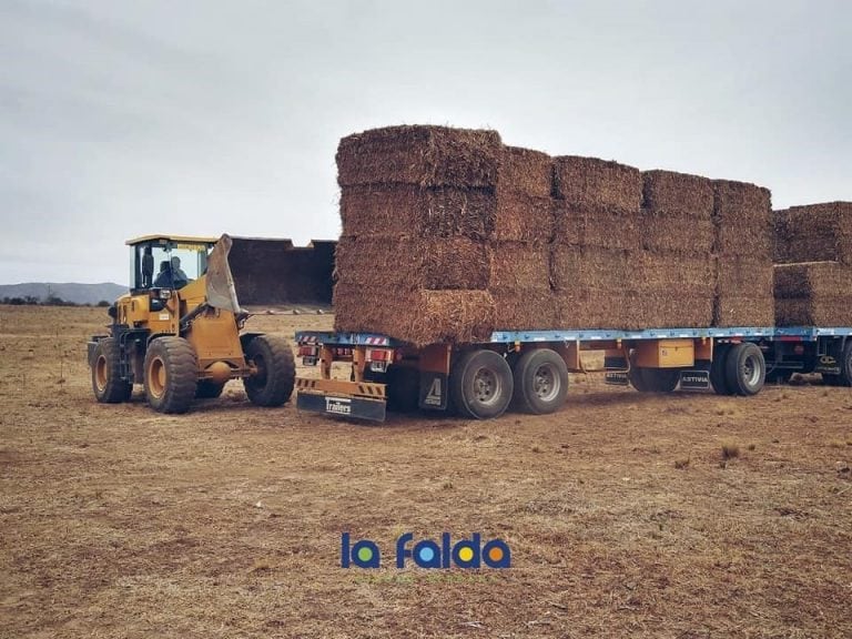 120 mil kilos de pastura, 8 mil kilos de maíz y 4 mil kilos de avena. (Foto: Municipalidad de La Falda).