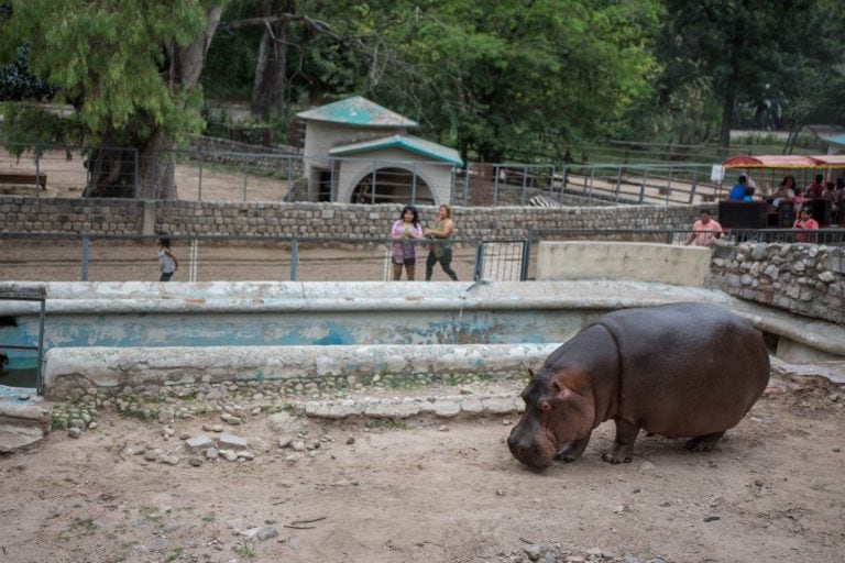 Zoo de Córdoba