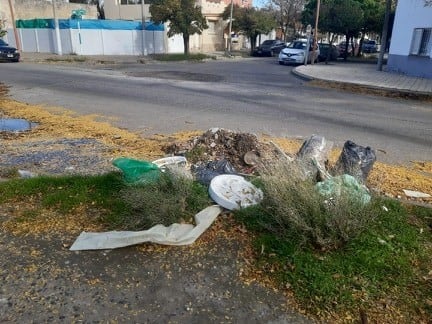 Basura en Punta Alta