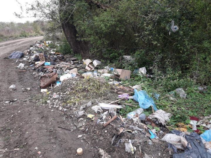 Zona del basural donde fue hallado el bebe recien nacido