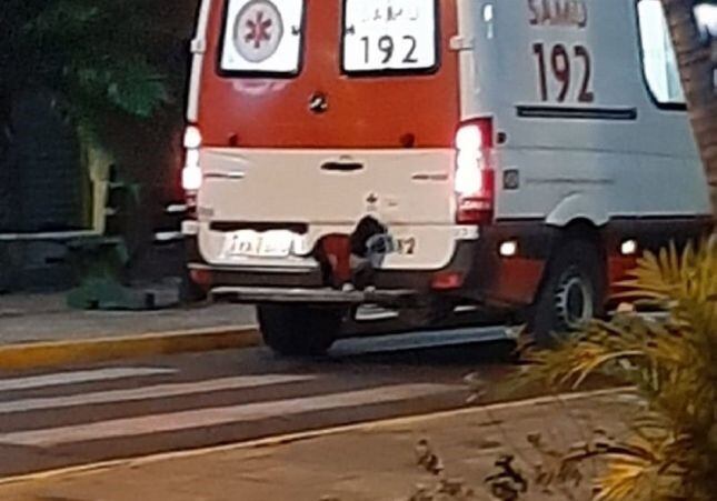 El video de una perrita que viajó en el paragolpes de una ambulancia para acompañar a su dueño