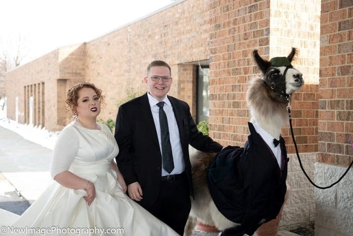 Llevó una llama al casamiento de su hermana (Foto: Mendl Weinstock)