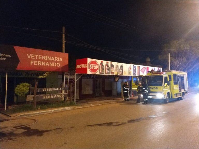 Voraz incendio en una veterinaria termina con gatitos siendo rescatados por bomberos. (Diario Chaco).