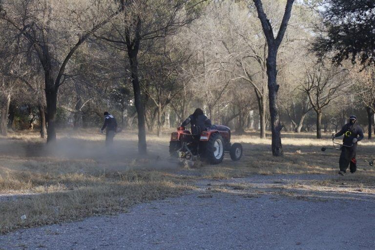 Corte de pasto, levantamiento de troncos y residuos, un trabajo diario en el A.C.A. (Foto: prensa municipal).