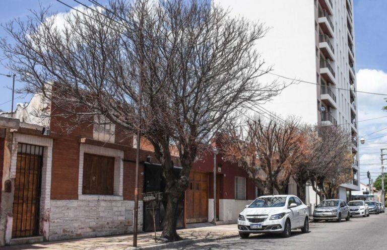 Paraísos enfermos en San Luis. Foto: El Diario de la República.