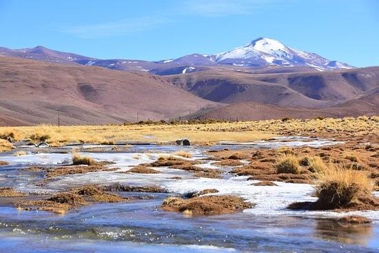 Santa Rosa de los Pastos Grandes. (Web)