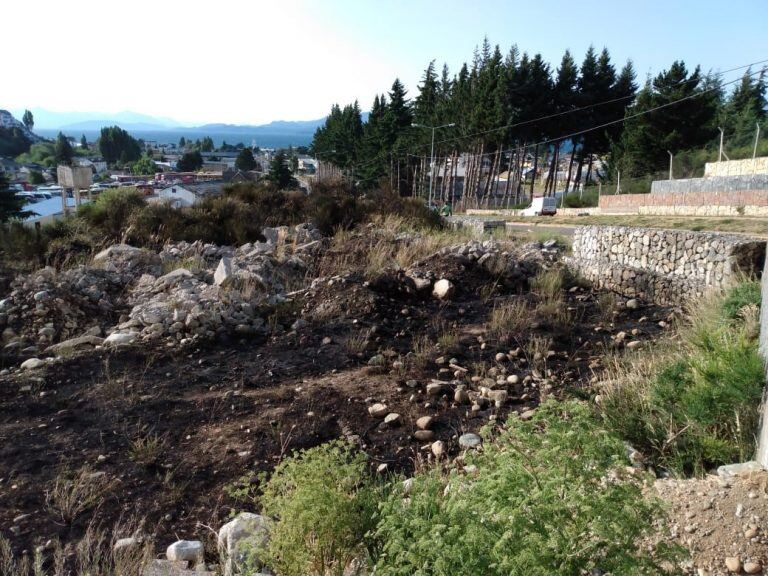 El incendio no tuvo víctimas fatales (Río Negro)