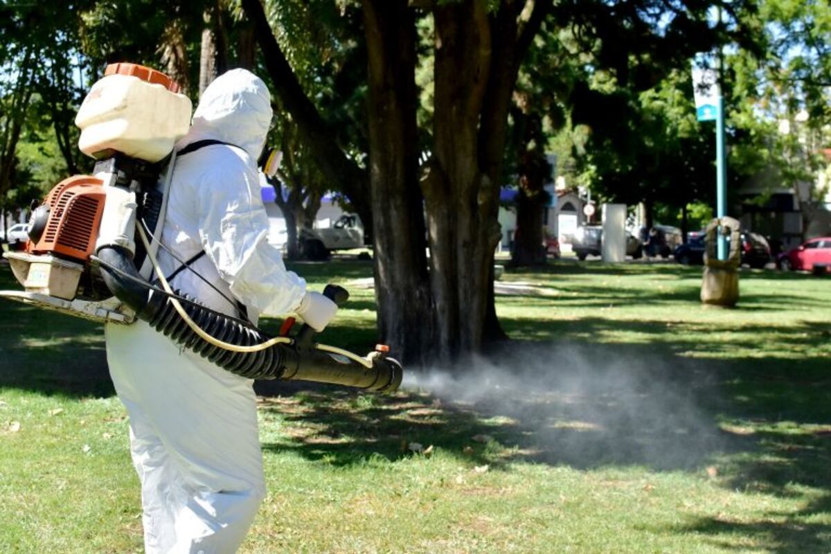 Dengue: Se registran 52 casos en La Plata desde el inicio del año